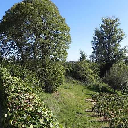 Bed and Breakfast Chateau Belles Graves Pomerols Екстер'єр фото