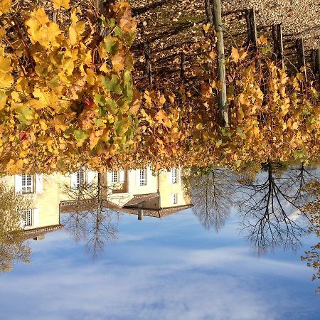 Bed and Breakfast Chateau Belles Graves Pomerols Екстер'єр фото