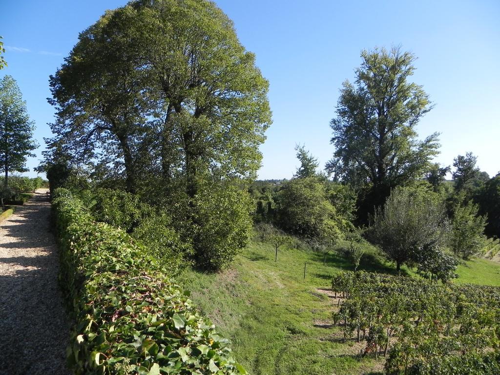 Bed and Breakfast Chateau Belles Graves Pomerols Екстер'єр фото