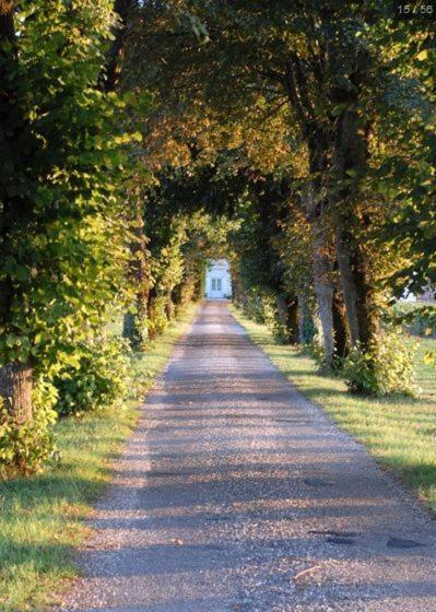 Bed and Breakfast Chateau Belles Graves Pomerols Екстер'єр фото