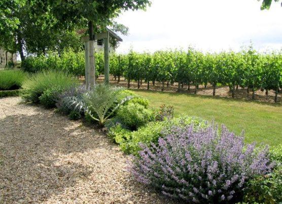 Bed and Breakfast Chateau Belles Graves Pomerols Екстер'єр фото