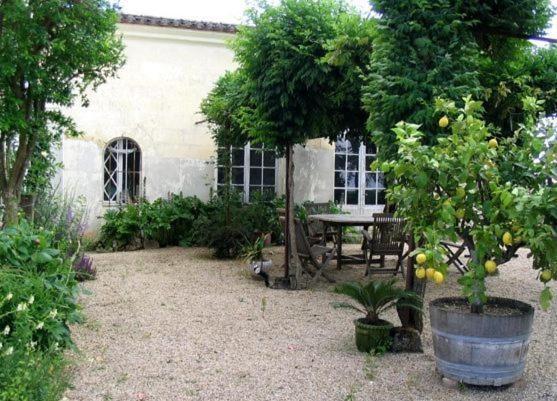 Bed and Breakfast Chateau Belles Graves Pomerols Екстер'єр фото