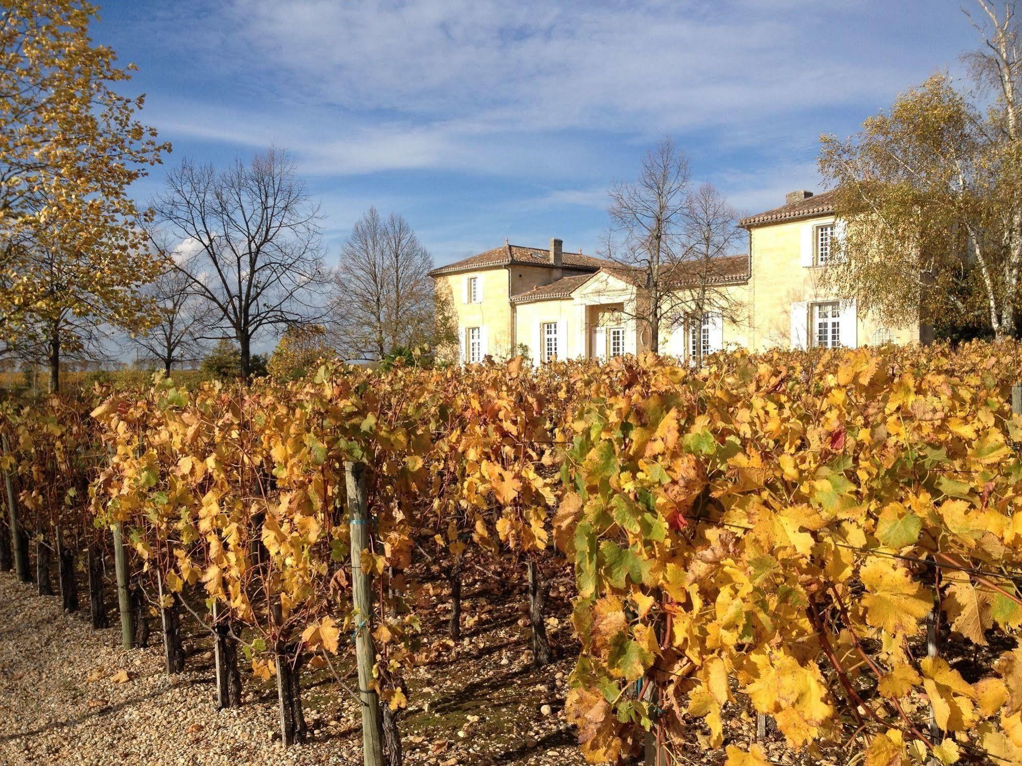 Bed and Breakfast Chateau Belles Graves Pomerols Екстер'єр фото
