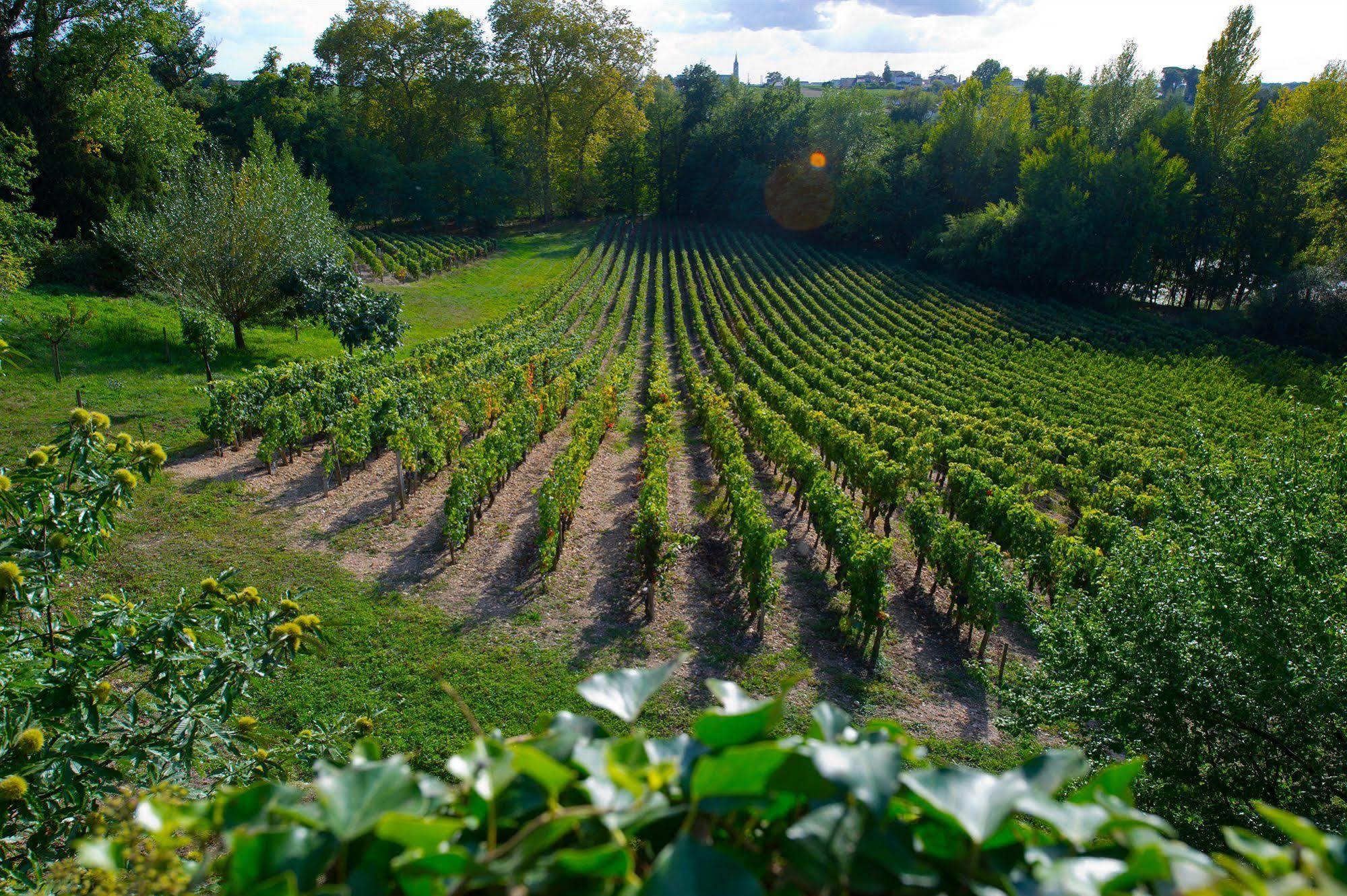 Bed and Breakfast Chateau Belles Graves Pomerols Екстер'єр фото